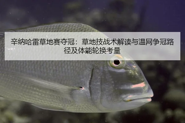 辛纳哈雷草地赛夺冠：草地技战术解读与温网争冠路径及体能轮换考量