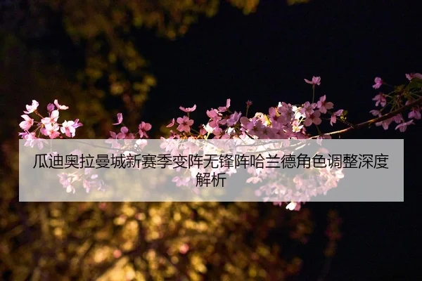 gua-di-ao-la-man-cheng-xin-sai-ji-bian-zhen-wu-feng-zhen-ha-lan-de-jue-se-tiao-zheng-shen-du-jie-xi-2-997.jpg