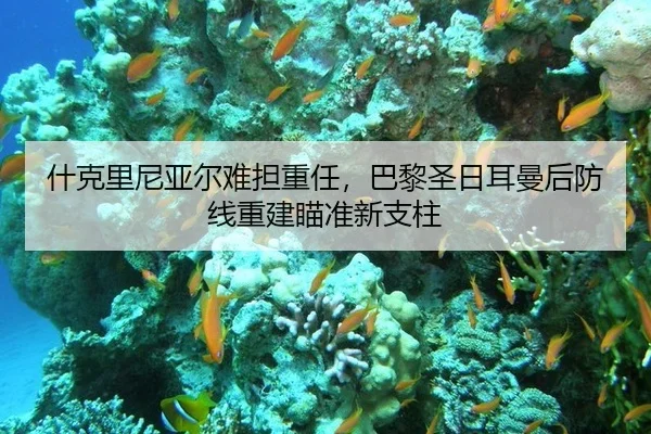 什克里尼亚尔难担重任，巴黎圣日耳曼后防线重建瞄准新支柱